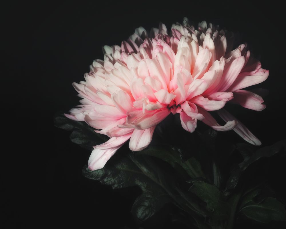 Photograph by Маргарита Смоленская