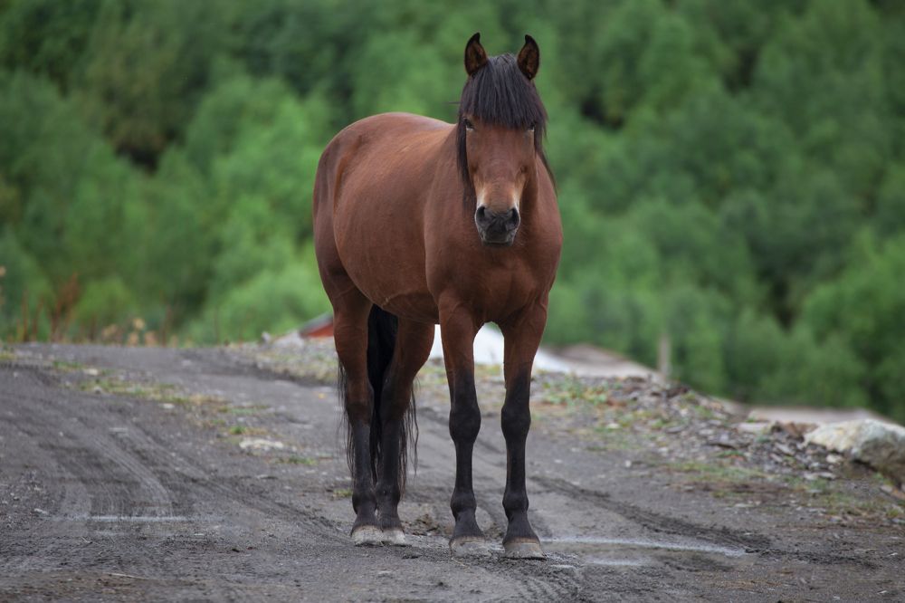 Photograph by Leanid Kulpo