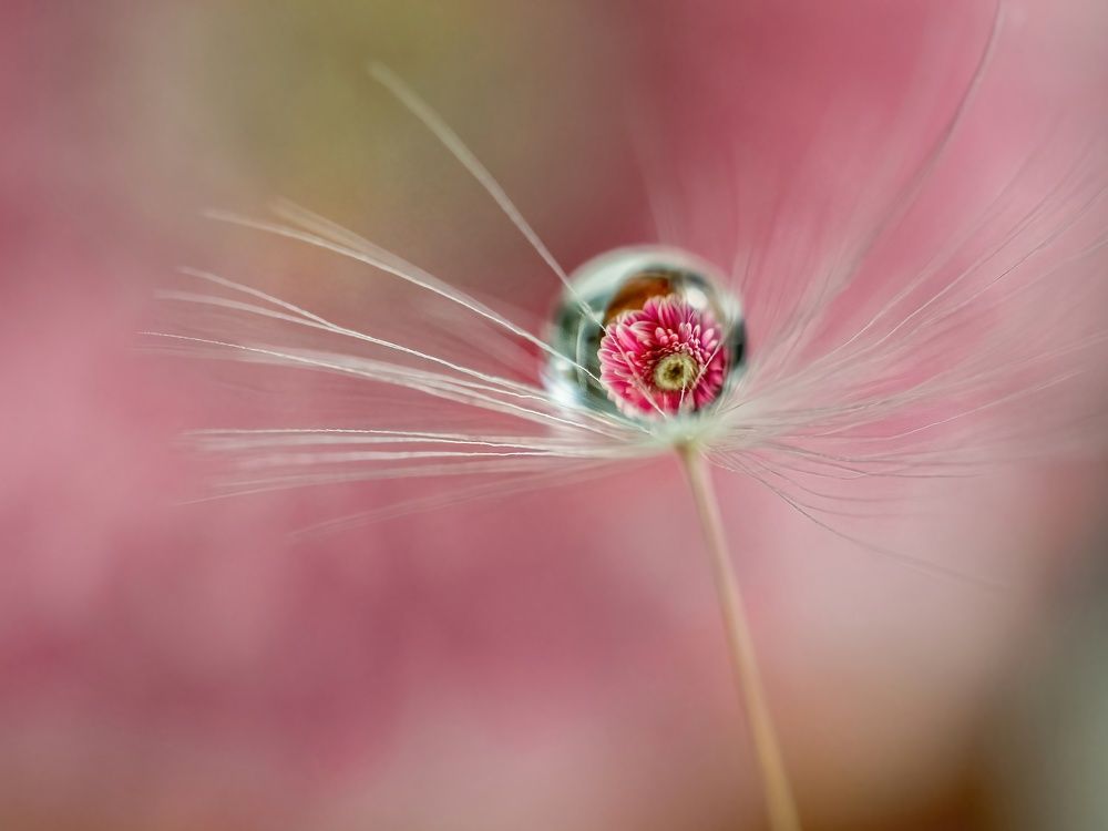 Photograph by Ксения Ершова