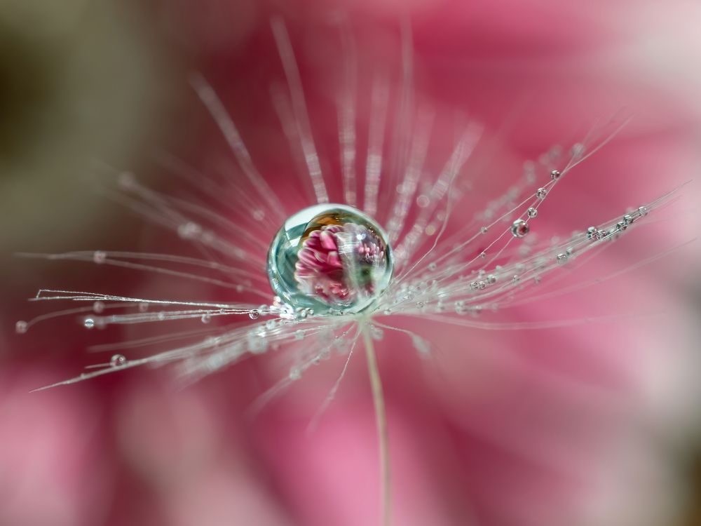 Photograph by Ксения Ершова