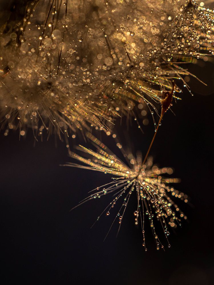 Photograph by Ксения Ершова