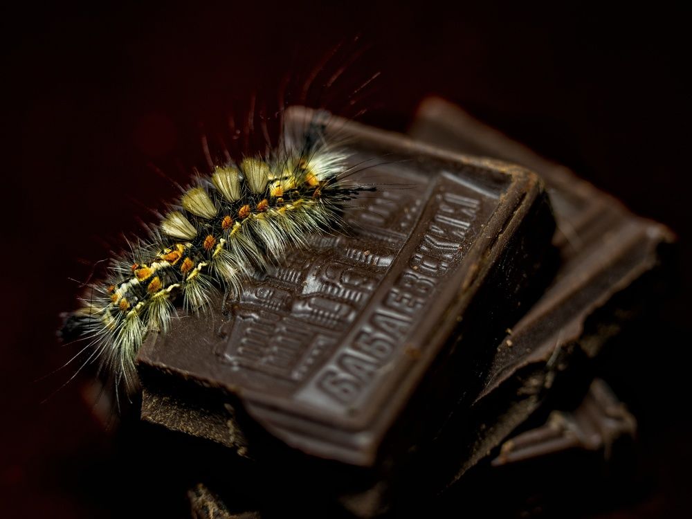 Photograph by Ксения Ершова