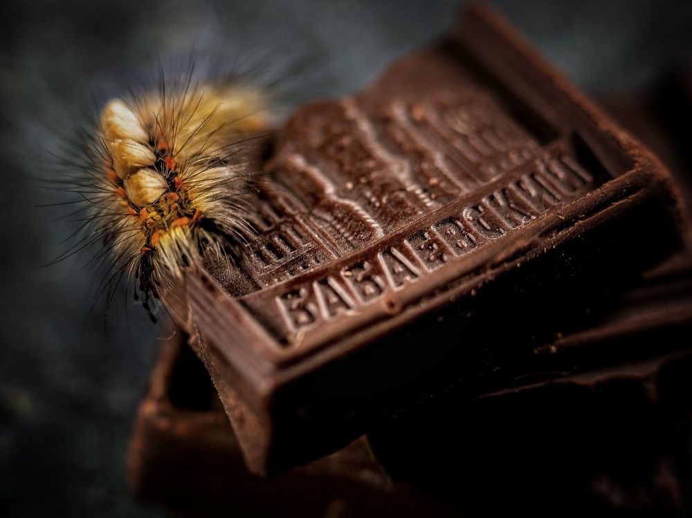 Photograph by Ксения Ершова