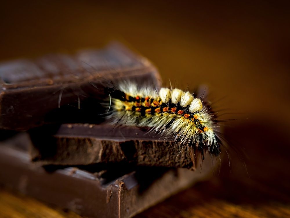 Photograph by Ксения Ершова