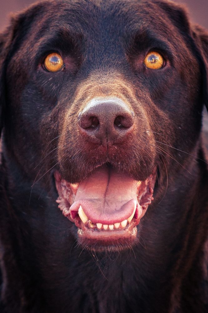 Photograph by Siarhei Saladukhin