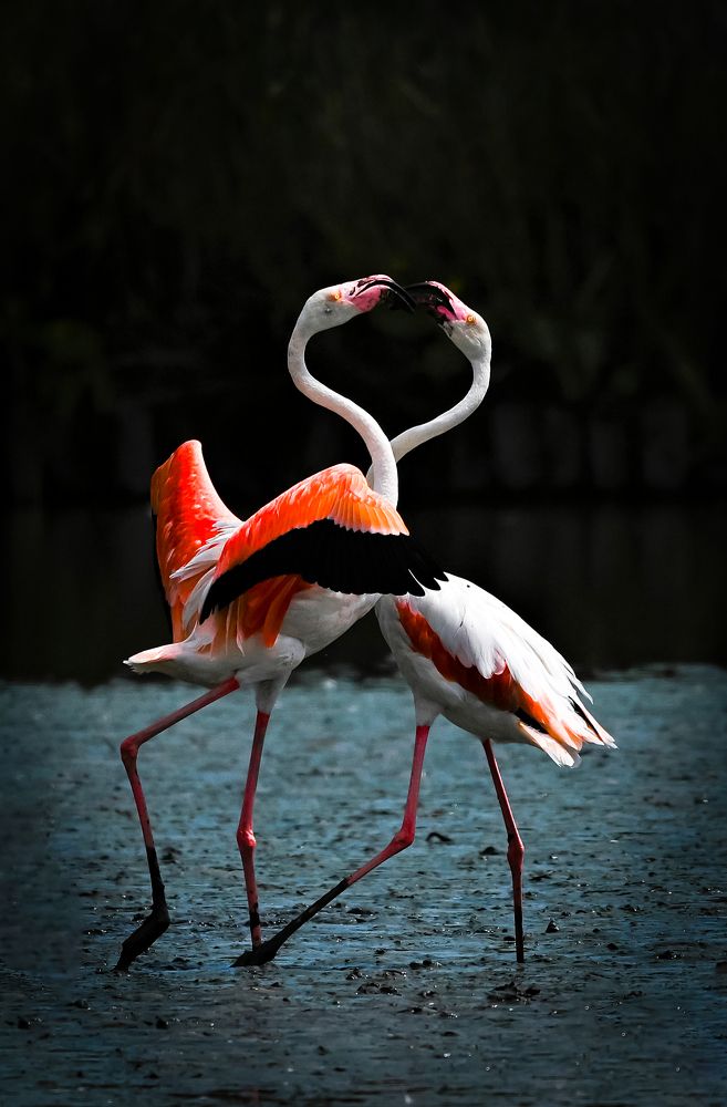 Photograph by nimalan subramaniam