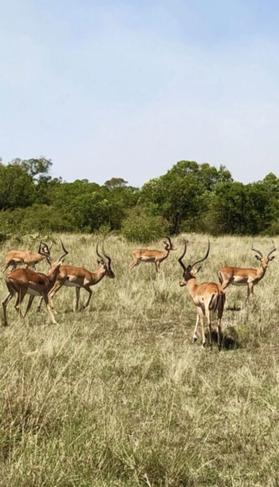 Photograph by Ольга Желтова