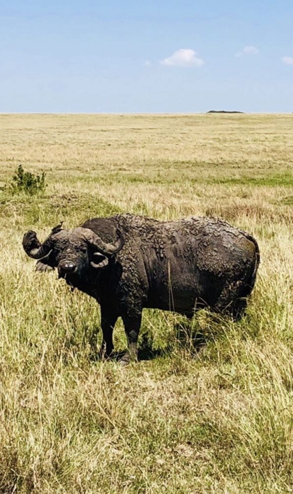 Photograph by Ольга Желтова