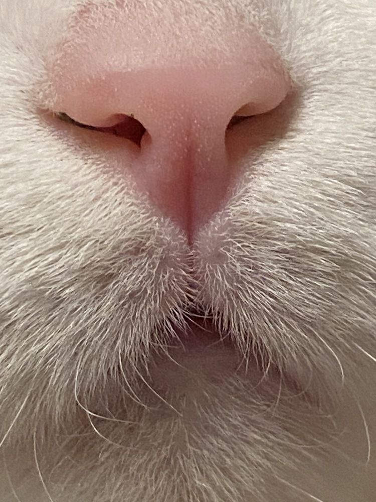 Photograph by Ольга Желтова