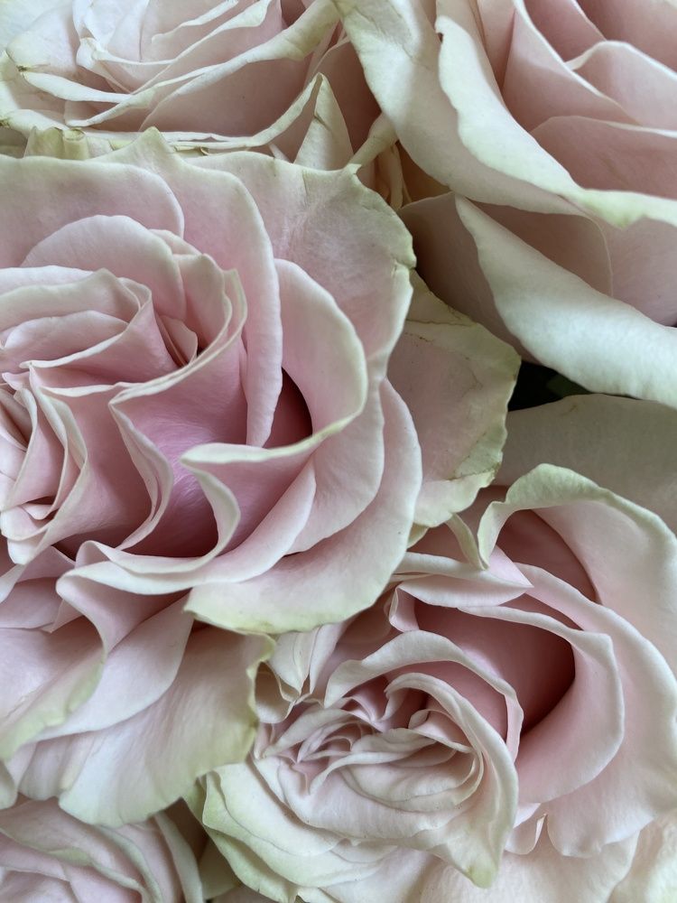 Photograph by Ольга Желтова