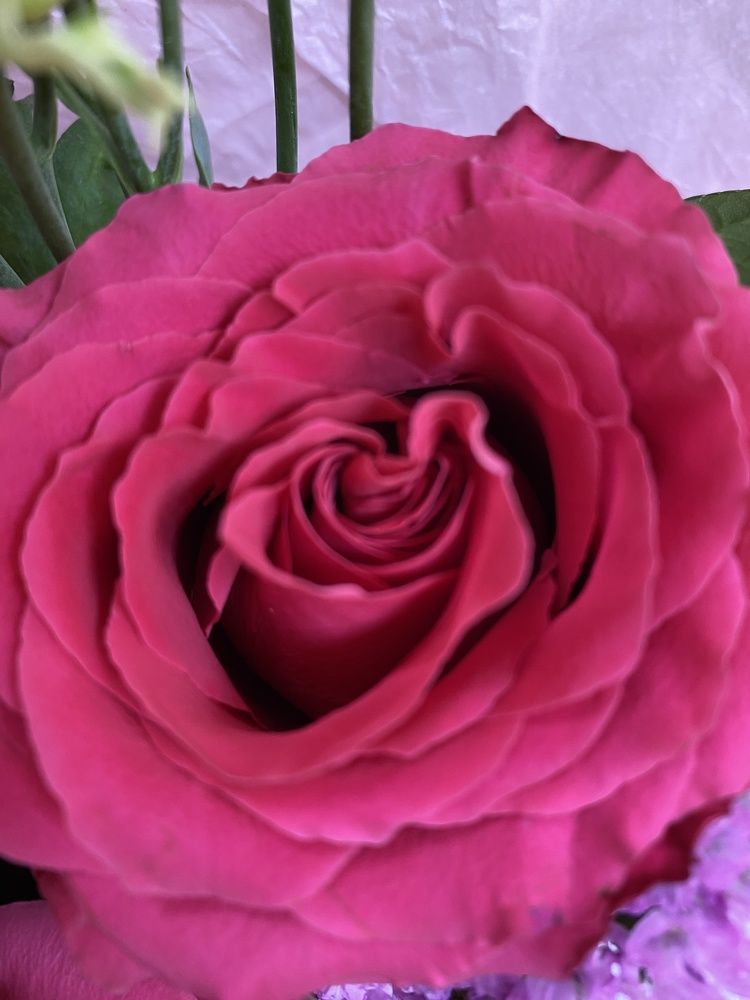 Photograph by Ольга Желтова