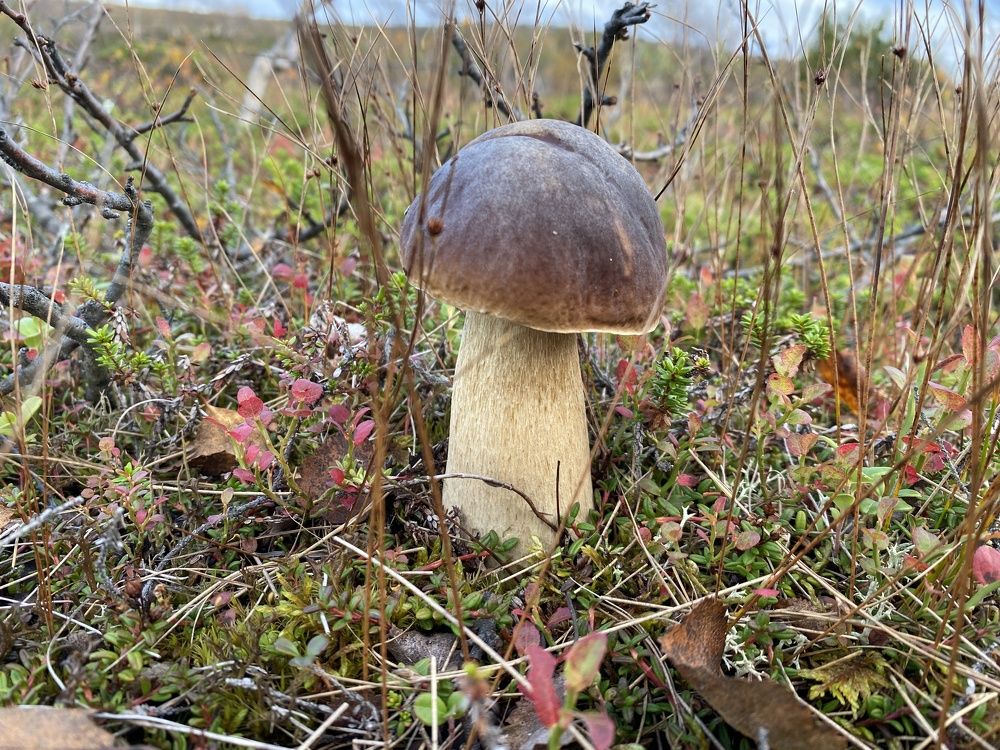 Photograph by Ольга Желтова