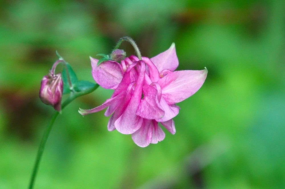 Photograph by jelena konickaja