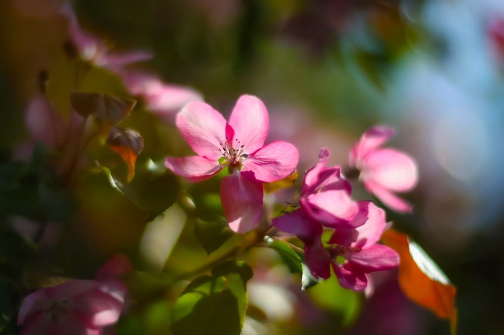 Photograph by Волынский Виктор