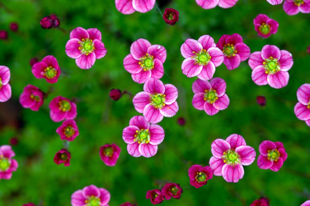 Photograph by Волынский Виктор