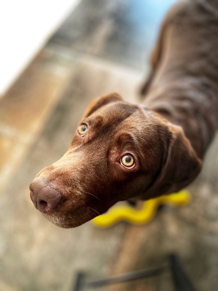 Фотография автора Nadezhda