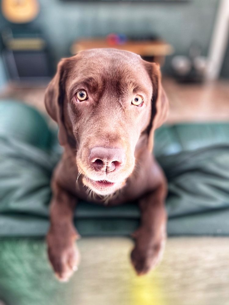 Фотография автора Nadezhda