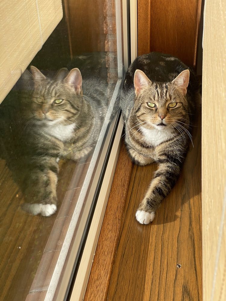 Фотография автора Nadezhda