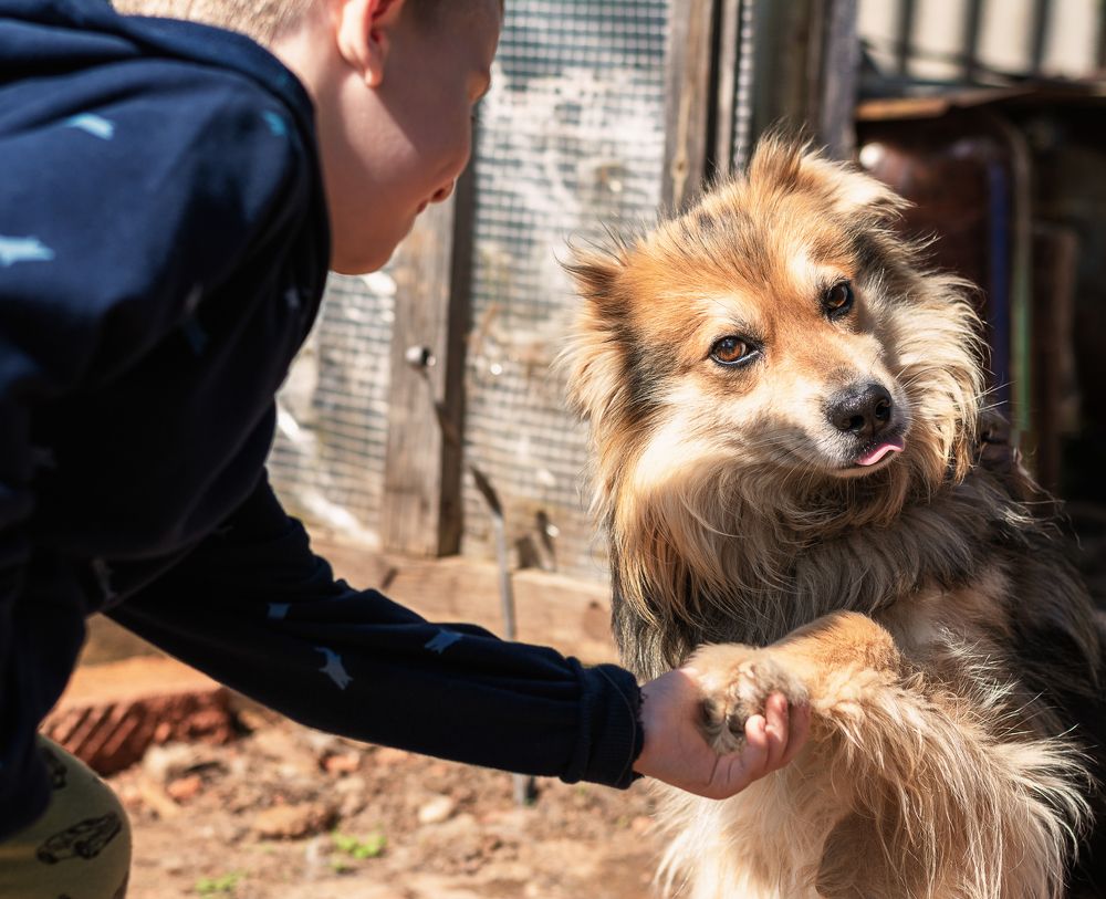 Photograph by Миша Азиатцев