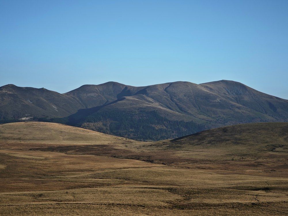 Photograph by Александра Шилова