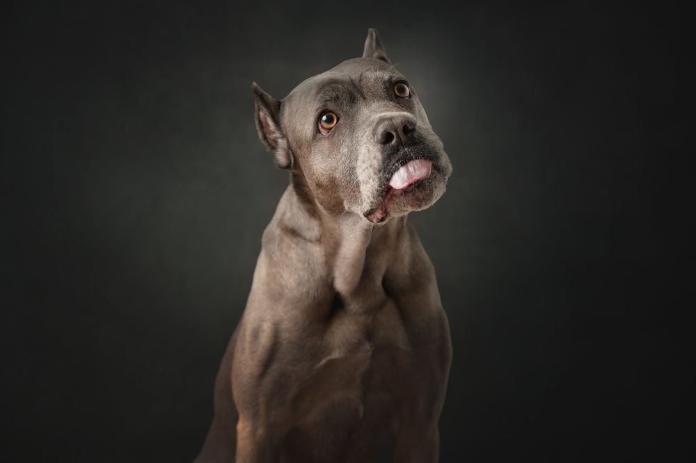 Фотография автора Антон Шарапов