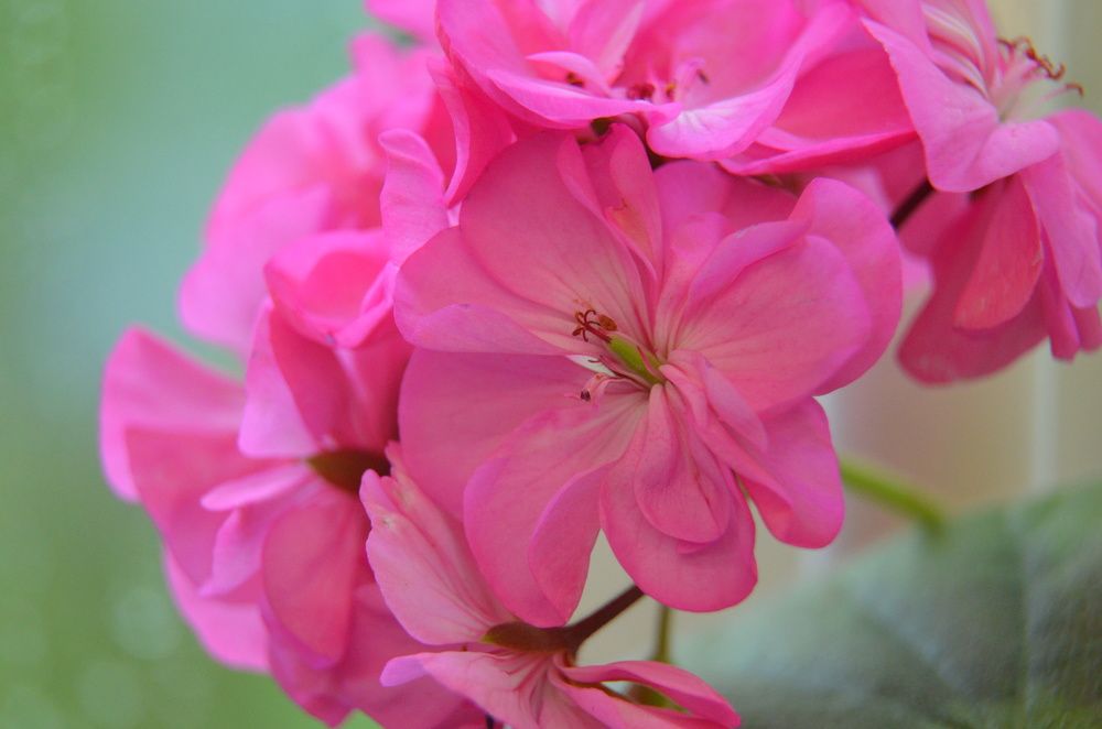 Photograph by Valentina