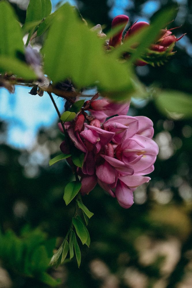 Photograph by Алёна Петрова