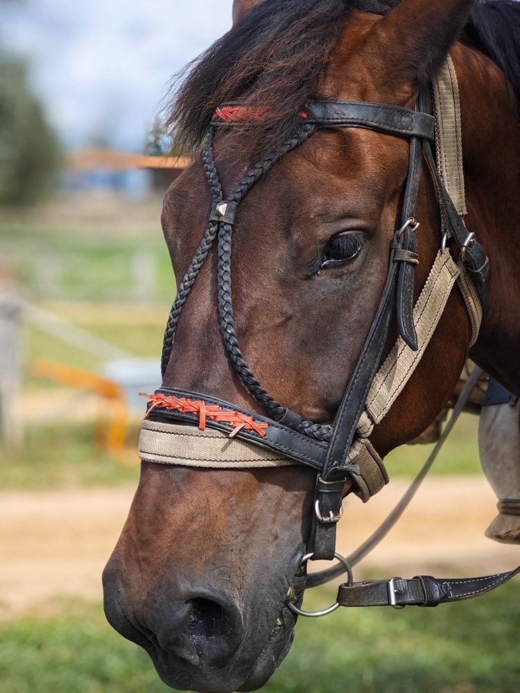 Photograph by Татьяна Соколовская