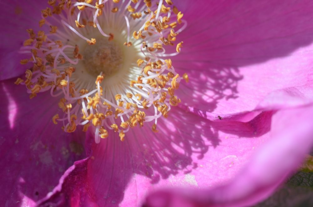 Photograph by Valentina