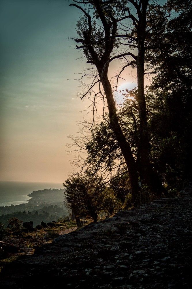 Photograph by Ольга Кривенцова