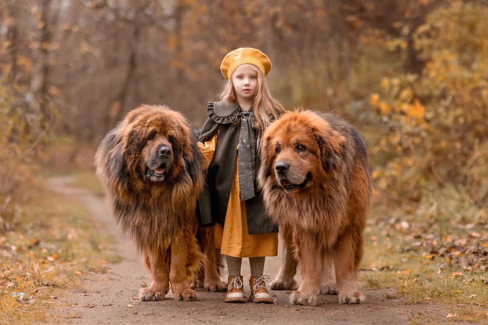 Верные друзья