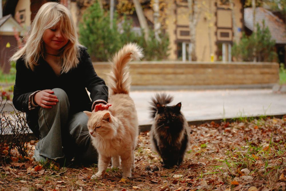 Photograph by Антонина Ревякина