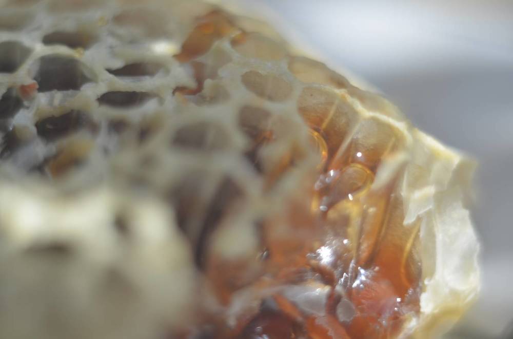 Photograph by Valentina