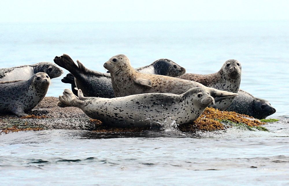 Photograph by Лада Денисова