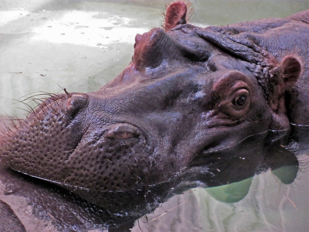 Photograph by Мила Милая