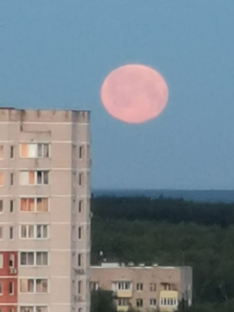 Photograph by Alexey Reznichenko