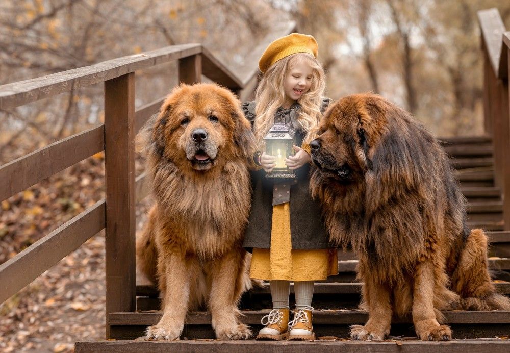 Photograph by Юлия Малина