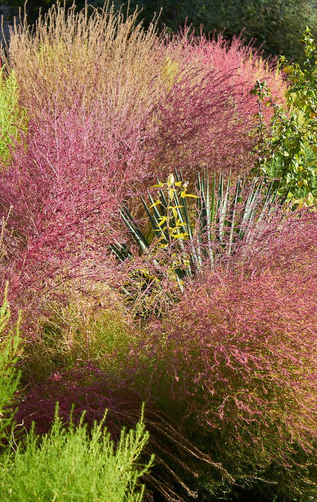 Photograph by Наталья Шевелева