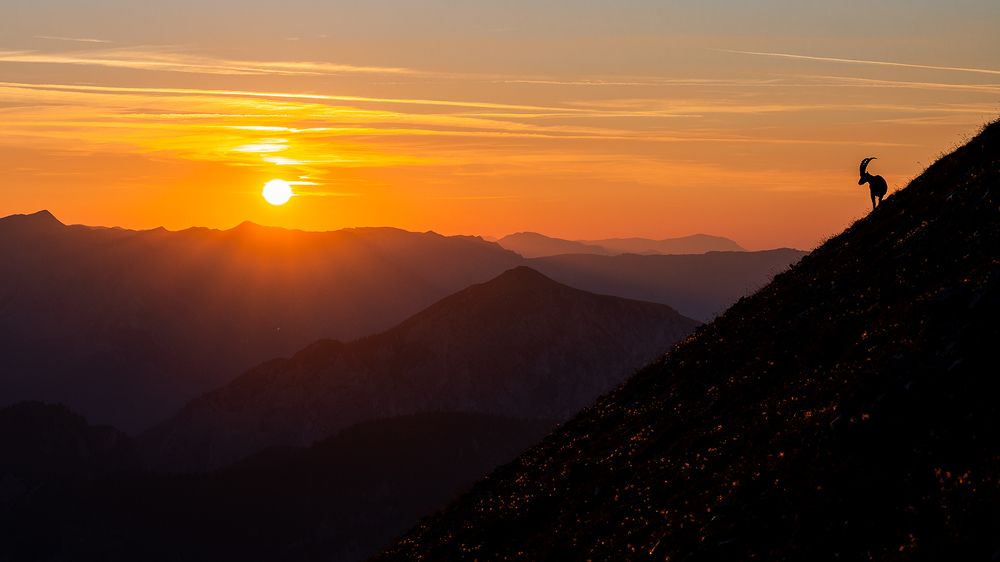 Фотография автора Ervin Horesnyik