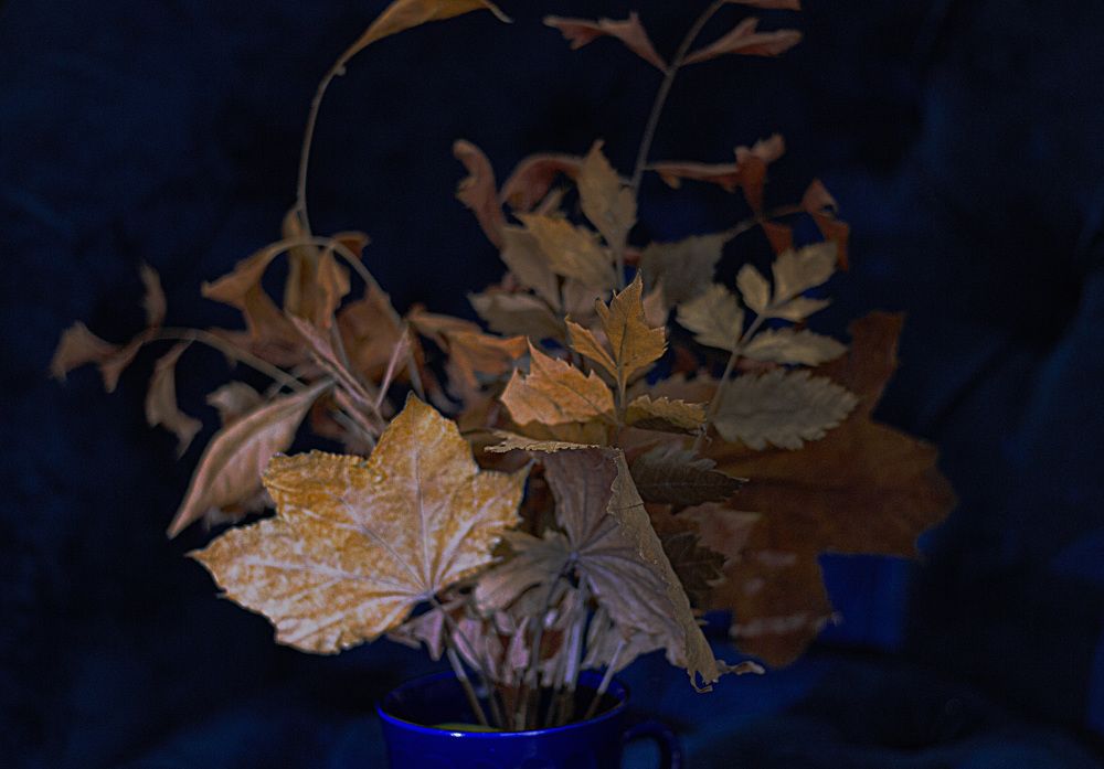 Photograph by Наталья Шевелева