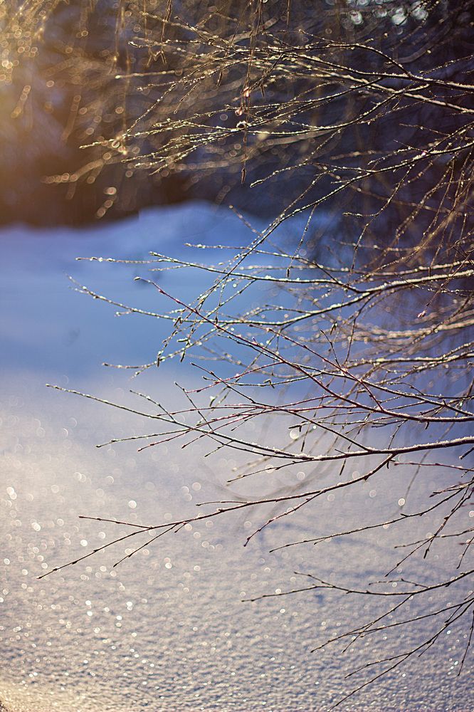 Photograph by Наталья Шевелева