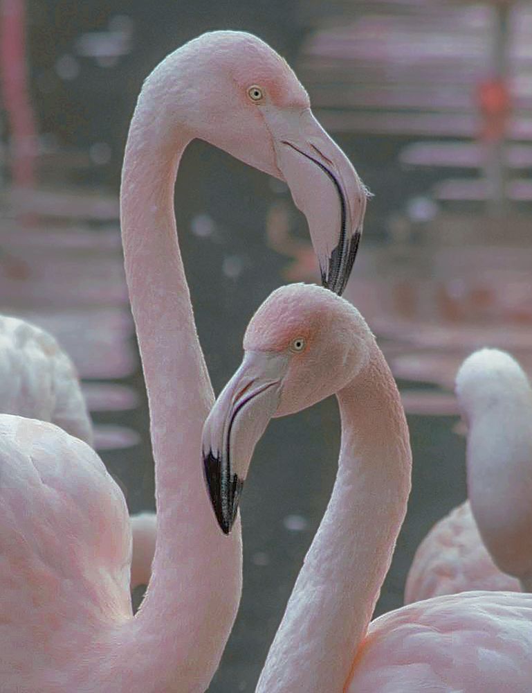 Photograph by Taтьяна Войлокова