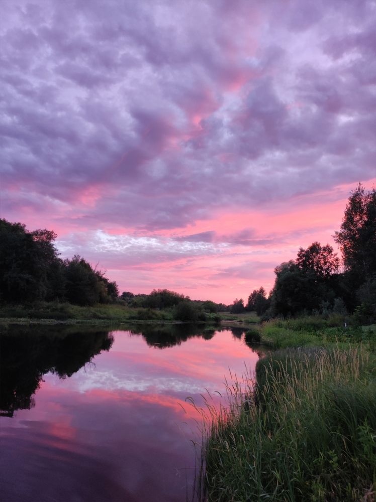Фотография автора Татьяна Алексеева