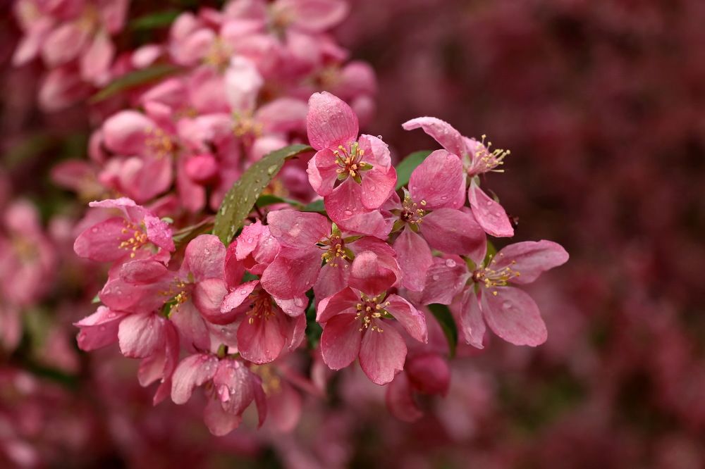 Photograph by Алексей Зимин