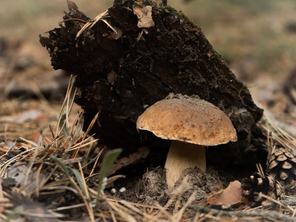 Photograph by Людмила
