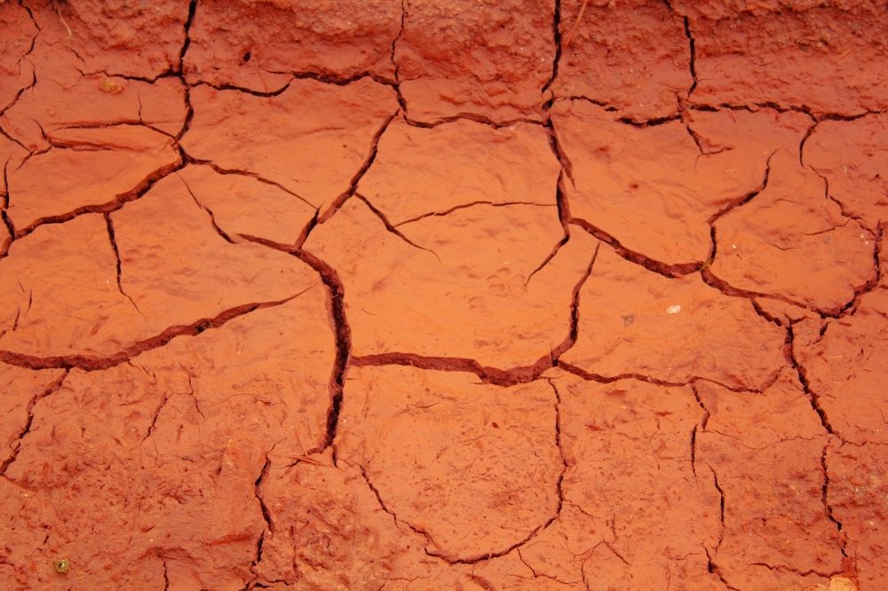 Photograph by Régis Santos