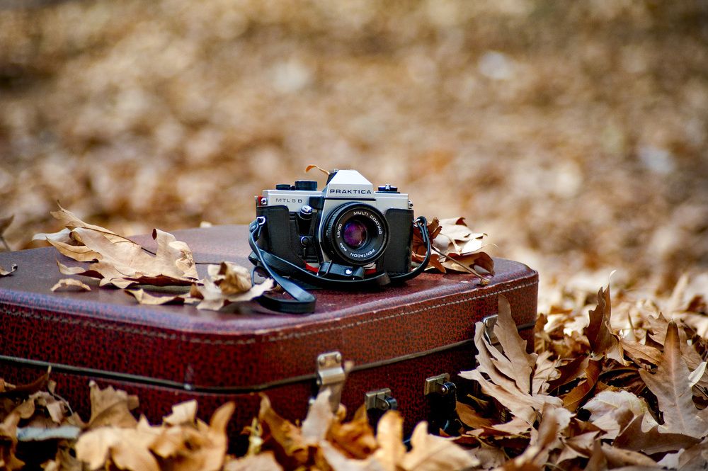 Photograph by DAMOUN POURNEMATI