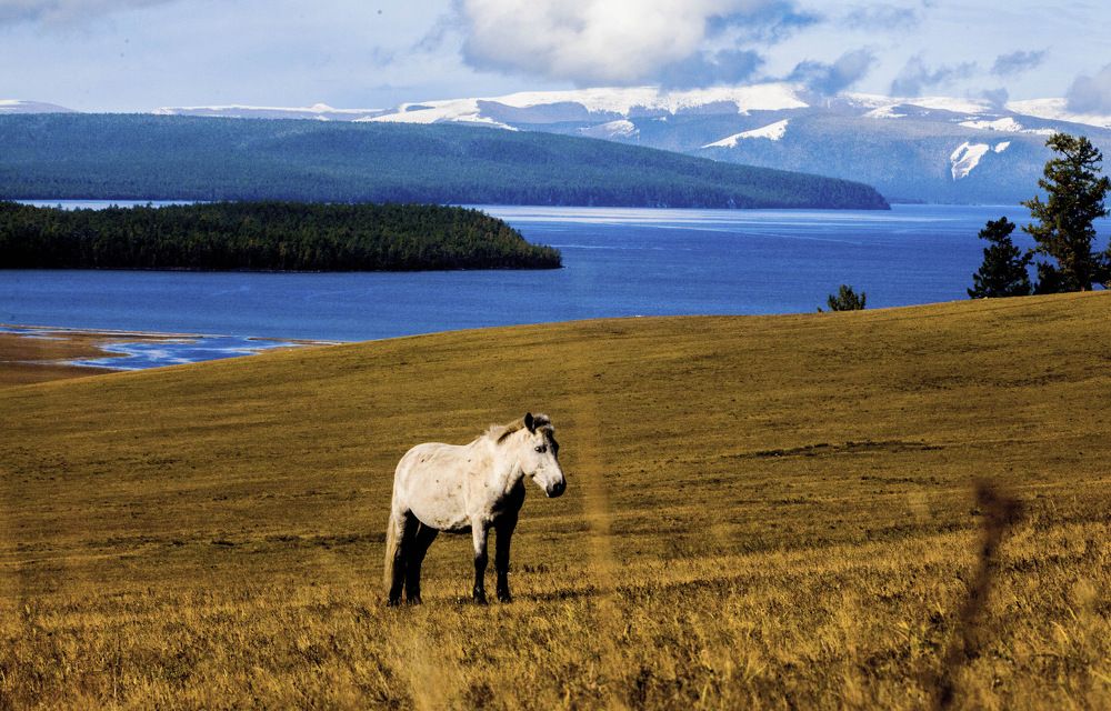 Photograph by Batsaikhan Badamdorj