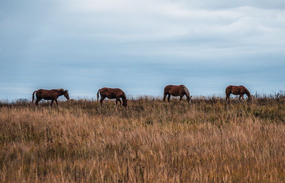 Photograph by Елена Ефимова