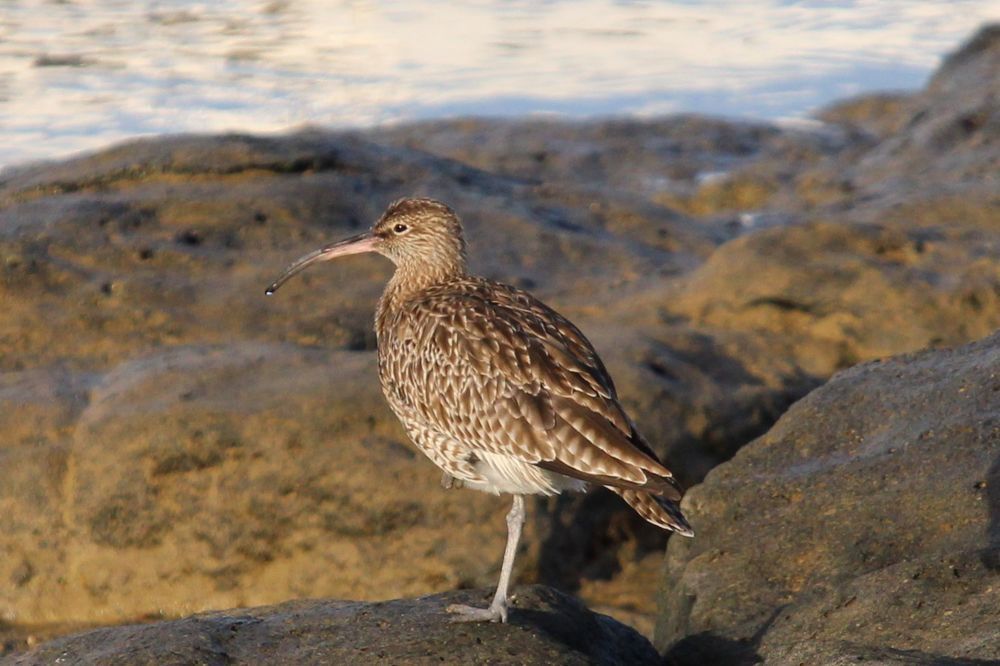 Фотография автора Nieves Gloria Alvarez Diaz